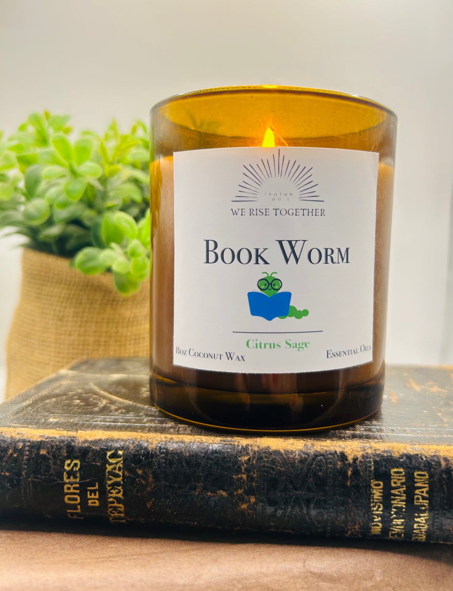 Book Lover Candles