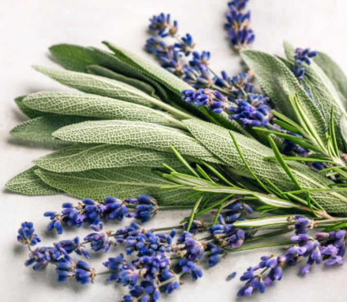 Lavender Sage