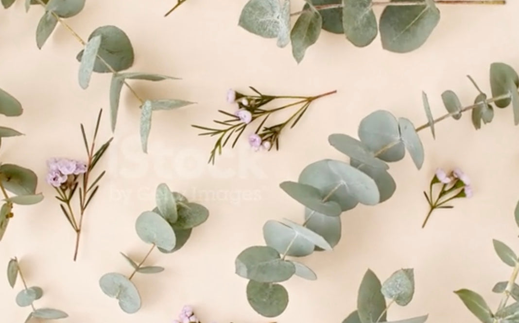 Eucalyptus Spearmint